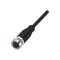 Balluff BCC098C Single-Ended Cordset