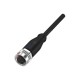 Balluff BCC098C Single-Ended Cordset