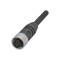 Balluff BCC0LPY Single-Ended Cordset