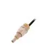 BALLUFF BCS010N CAPACITIVE LEVEL SENSOR WITH MEDIA CONTACT