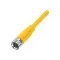 Balluff BCC050M Single-Ended Cordset