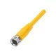 Balluff BCC050M Single-Ended Cordset