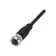 Balluff BCC098C Single-Ended Cordset