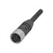 Balluff BCC0LPY Single-Ended Cordset